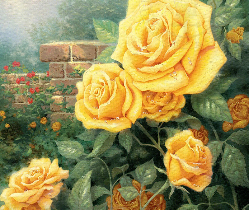 Perfect Yellow Rose